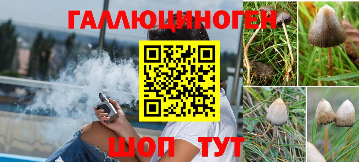 Малгобек  Галлюциногенные грибы мицелий  Вход с VPN 