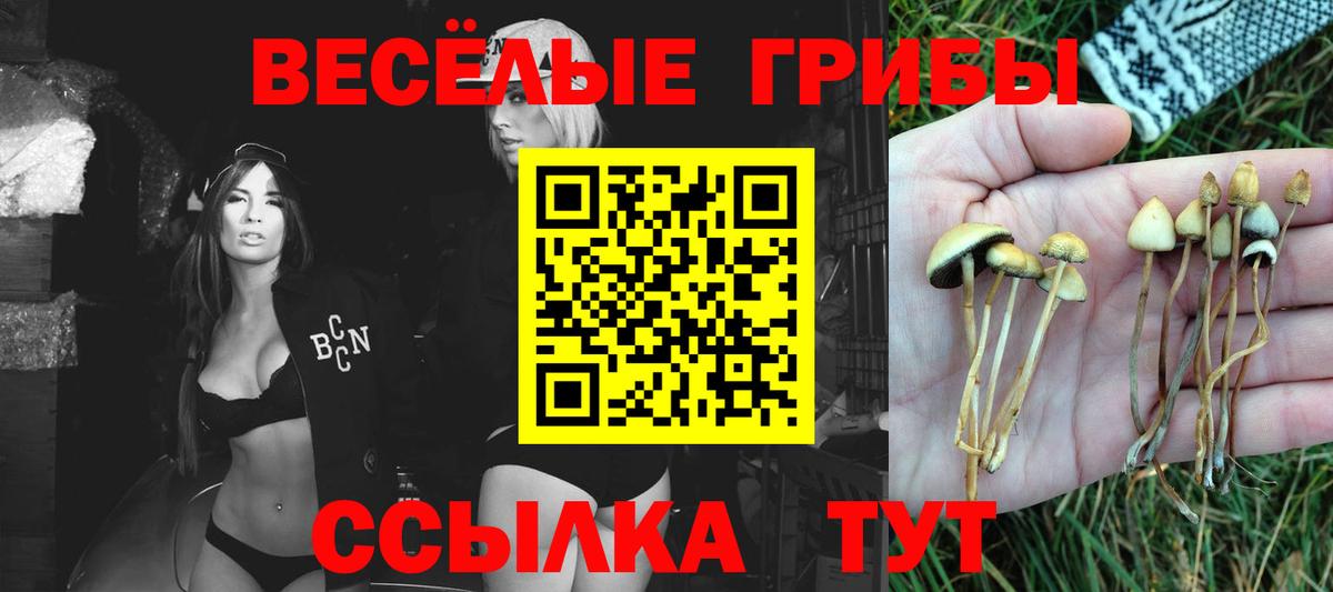 Псилоцибиновые грибы MAGIC MUSHROOMS Малгобек